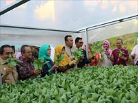 Advanced Course Fakultas Pertanian UMJ Jakarta Nomor Photo Gallery 4